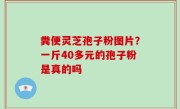 粪便灵芝孢子粉图片？一斤40多元的孢子粉是真的吗