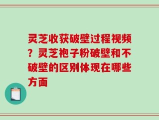 灵芝收获破壁过程视频？灵芝袍子粉破壁和不破壁的区别体现在哪些方面