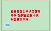 森林里怎么辨认灵芝孢子粉(如何在森林中识别灵芝孢子粉)