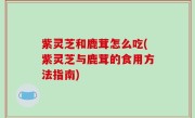 紫灵芝和鹿茸怎么吃(紫灵芝与鹿茸的食用方法指南)