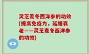 灵芝麦冬西洋参的功效(提高免疫力，延缓衰老——灵芝麦冬西洋参的功效)