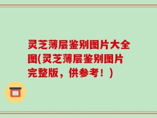 灵芝薄层鉴别图片大全图(灵芝薄层鉴别图片完整版，供参考！)