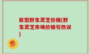 巨型野生灵芝价格(野生灵芝市场价格引热议)