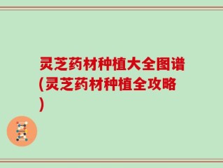 灵芝药材种植大全图谱(灵芝药材种植全攻略)