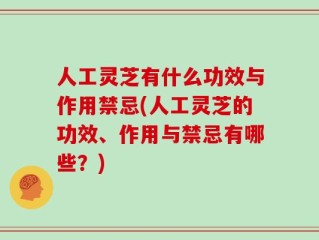人工灵芝有什么功效与作用禁忌(人工灵芝的功效、作用与禁忌有哪些？)