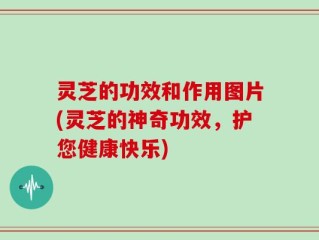 灵芝的功效和作用图片(灵芝的神奇功效，护您健康快乐)