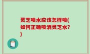 灵芝喷水应该怎样喷(如何正确喷洒灵芝水？)