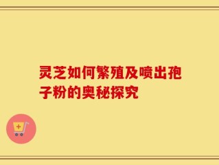 灵芝如何繁殖及喷出孢子粉的奥秘探究