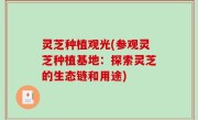 灵芝种植观光(参观灵芝种植基地：探索灵芝的生态链和用途)