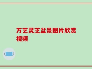 万艺灵芝盆景图片欣赏视频