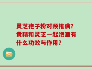 灵芝孢子粉对颈椎病？黄精和灵芝一起泡酒有什么功效与作用？