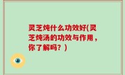 灵芝炖什么功效好(灵芝炖汤的功效与作用，你了解吗？)