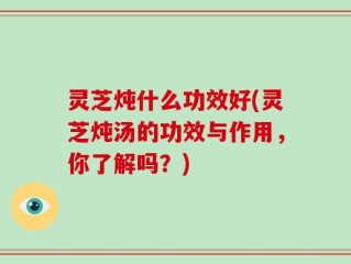 灵芝炖什么功效好(灵芝炖汤的功效与作用，你了解吗？)