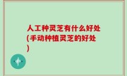 人工种灵芝有什么好处(手动种植灵芝的好处)