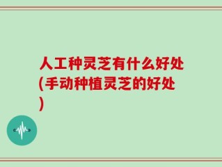 人工种灵芝有什么好处(手动种植灵芝的好处)