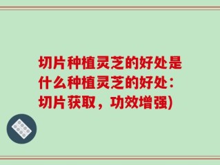 切片种植灵芝的好处是什么种植灵芝的好处：切片获取，功效增强)