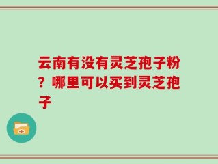 云南有没有灵芝孢子粉？哪里可以买到灵芝孢子