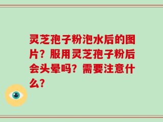 灵芝孢子粉泡水后的图片？服用灵芝孢子粉后会头晕吗？需要注意什么？