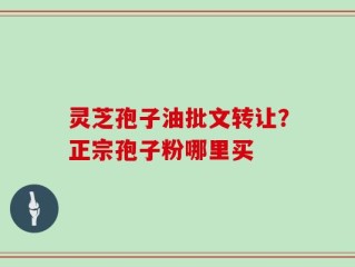 灵芝孢子油批文转让？正宗孢子粉哪里买