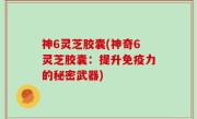 神6灵芝胶囊(神奇6灵芝胶囊：提升免疫力的秘密武器)