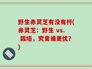 野生赤灵芝有没有杆(赤灵芝：野生 vs. 栽培，究竟谁更优？)
