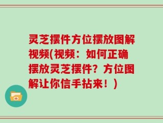 灵芝摆件方位摆放图解视频(视频：如何正确摆放灵芝摆件？方位图解让你信手拈来！)