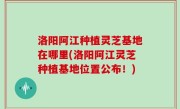 洛阳阿江种植灵芝基地在哪里(洛阳阿江灵芝种植基地位置公布！)