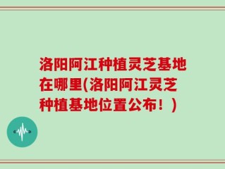洛阳阿江种植灵芝基地在哪里(洛阳阿江灵芝种植基地位置公布！)
