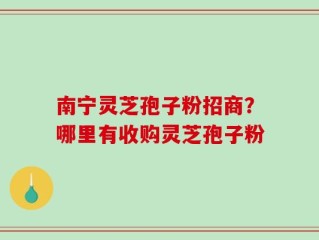 南宁灵芝孢子粉招商？哪里有收购灵芝孢子粉