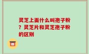 灵芝上面什么叫孢子粉？灵芝片和灵芝孢子粉的区别