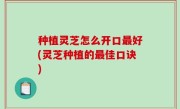 种植灵芝怎么开口最好(灵芝种植的最佳口诀)