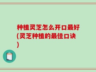 种植灵芝怎么开口最好(灵芝种植的最佳口诀)