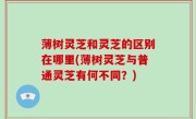 薄树灵芝和灵芝的区别在哪里(薄树灵芝与普通灵芝有何不同？)