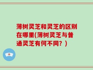 薄树灵芝和灵芝的区别在哪里(薄树灵芝与普通灵芝有何不同？)