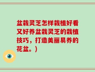 盆栽灵芝怎样栽植好看又好养盆栽灵芝的栽植技巧，打造美丽易养的花盆。)