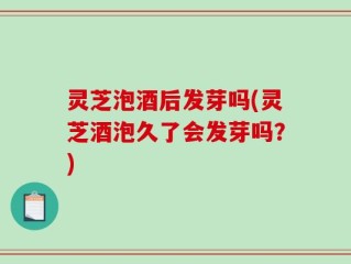 灵芝泡酒后发芽吗(灵芝酒泡久了会发芽吗？)