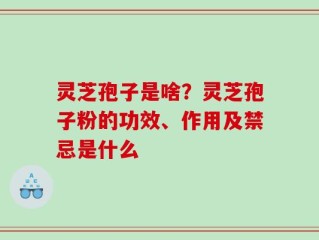 灵芝孢子是啥？灵芝孢子粉的功效、作用及禁忌是什么