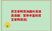 灵芝老鸭煲汤图片高清高清图：营养丰富的灵芝老鸭煲汤)