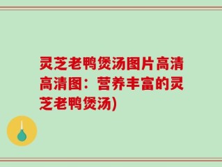 灵芝老鸭煲汤图片高清高清图：营养丰富的灵芝老鸭煲汤)