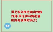 灵芝和乌梅泡酒功效和作用(灵芝和乌梅泡酒的好处及功效简介)