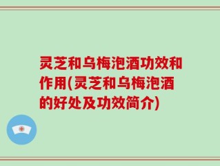 灵芝和乌梅泡酒功效和作用(灵芝和乌梅泡酒的好处及功效简介)