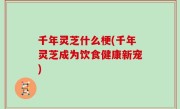 千年灵芝什么梗(千年灵芝成为饮食健康新宠)