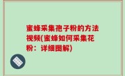 蜜蜂采集孢子粉的方法视频(蜜蜂如何采集花粉：详细图解)