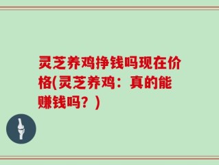 灵芝养鸡挣钱吗现在价格(灵芝养鸡：真的能赚钱吗？)
