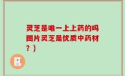 灵芝是唯一上上药的吗图片灵芝是优质中药材？)