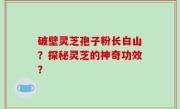 破壁灵芝孢子粉长白山？探秘灵芝的神奇功效？