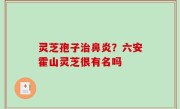 灵芝孢子治鼻炎？六安霍山灵芝很有名吗