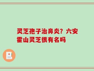 灵芝孢子治鼻炎？六安霍山灵芝很有名吗
