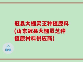 冠县大棚灵芝种植原料(山东冠县大棚灵芝种植原材料供应商)