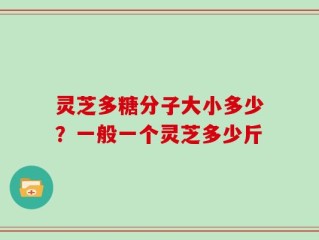 灵芝多糖分子大小多少？一般一个灵芝多少斤